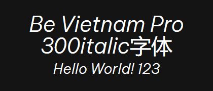 Be-Vietnam-Pro-300italic