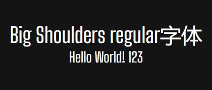 Big-Shoulders-regular