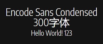 Encode-Sans-Condensed-300