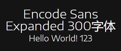 Encode-Sans-Expanded-300