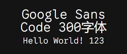 Google-Sans-Code-300