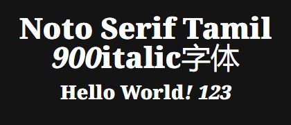 Noto-Serif-Tamil-900italic