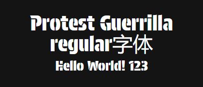 Protest-Guerrilla-regular