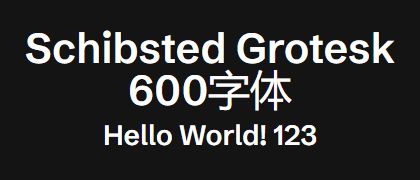 Schibsted-Grotesk-600