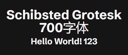 Schibsted-Grotesk-700