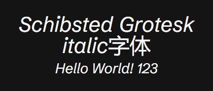 Schibsted-Grotesk-italic