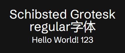 Schibsted-Grotesk-regular