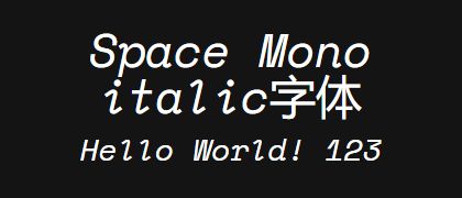 Space-Mono-italic