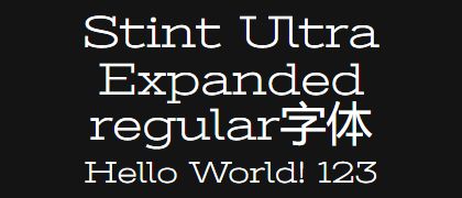 Stint-Ultra-Expanded-regular