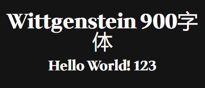 Wittgenstein-900